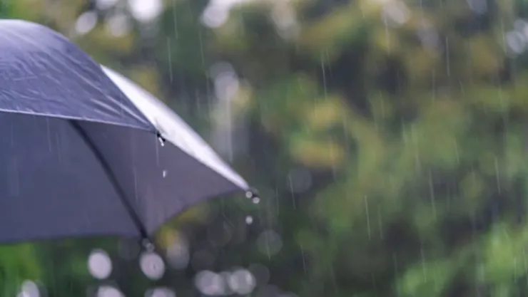 Lluvias Tijuana 2024 ¿A qué hora lloverá este viernes 15 y sábado 16 de noviembre de 2024