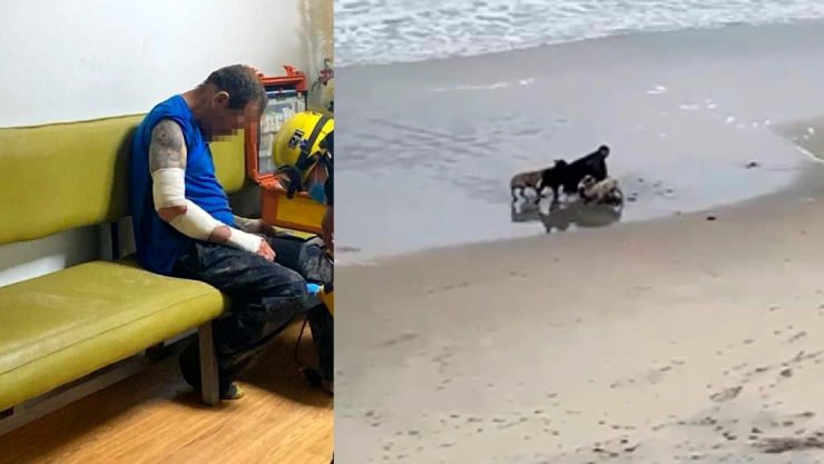 Hombre es mordido por perros en Playa El Vigía