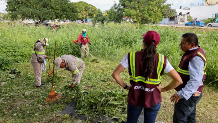 Intensifican los trabajos de Servicios Públicos en Cancún; clausuraron 31 basureros clandestinos