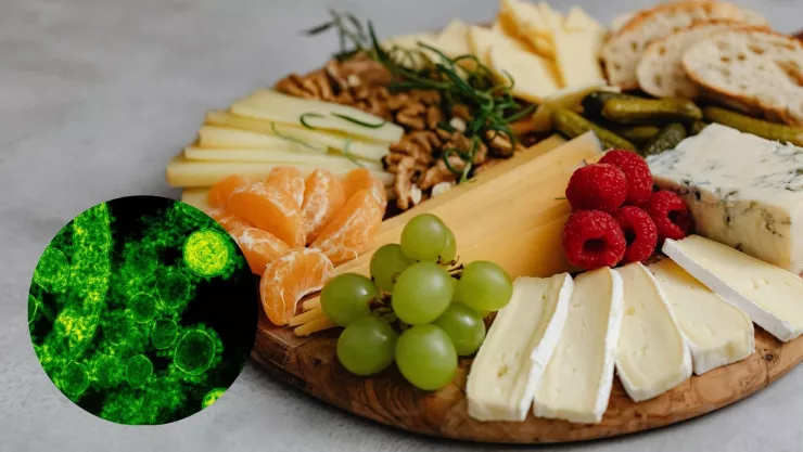 Las bacterias más comunes en los alimentos que debes evitar