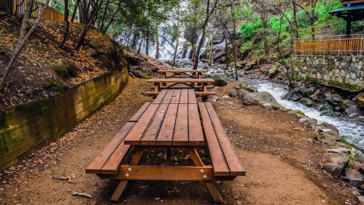 Escapadas verdes: descubre los parques ecológicos cerca de CDMX ideales para respirar y reconectar