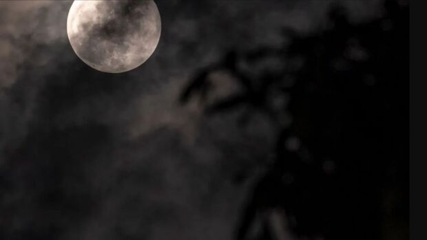 FOTOS: Así se vio la superluna de Fresa.jpg