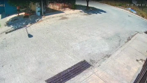 FOTOS: Filtran imágenes de la agresión con machete al perrito en Piedra de Agua