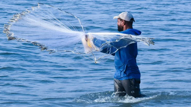 ¡Preservan su sustento! Pescadores de ‘Laguna de Conejo Blanco’, en Veracruz, siembran algas para cuidar a peces y mariscos