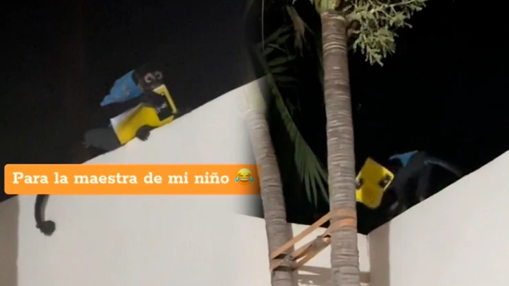 Mono roba tarea niño