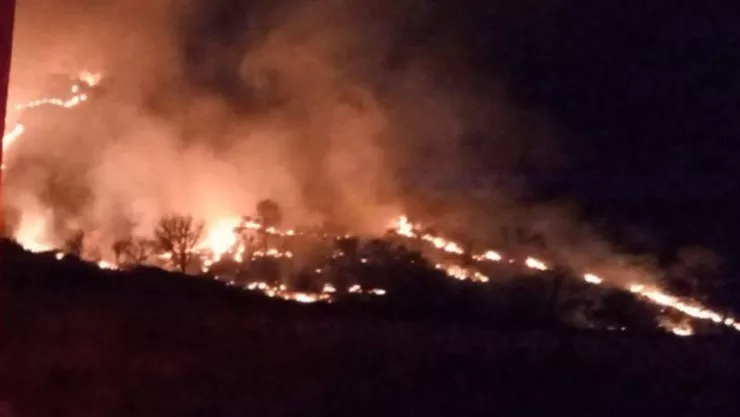 Controlan en 70% incendio en el Cerro del Tepopote en Zapopan ¿cuántos incendios forestales activos hay en Jalisco hoy 26 de marzo
