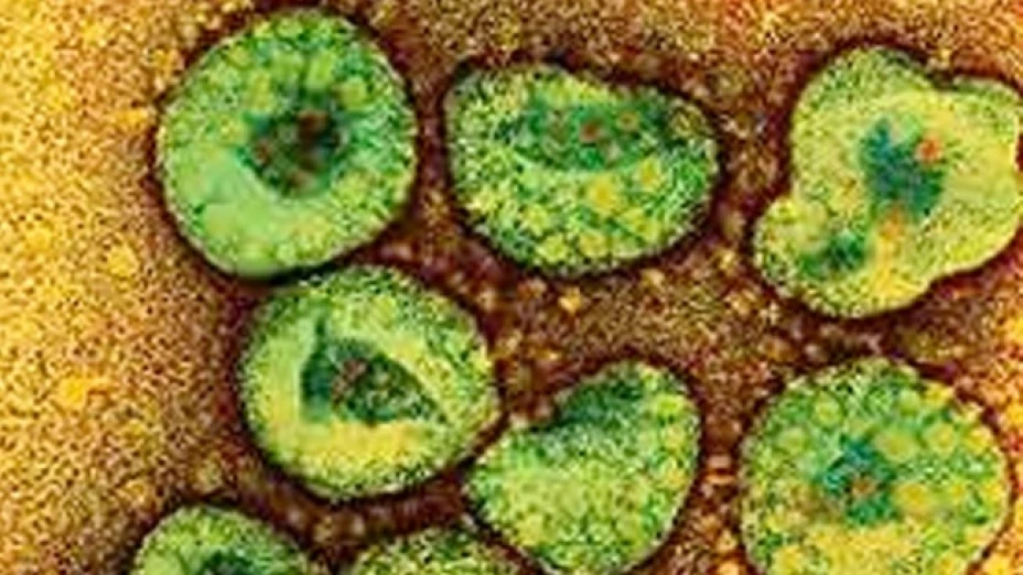 La OMS y los Centros de Control Epidemiológico de EUA estudian nuevas enfermedades