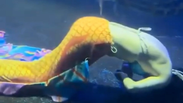 sirena casi muere ahogada pleno show china