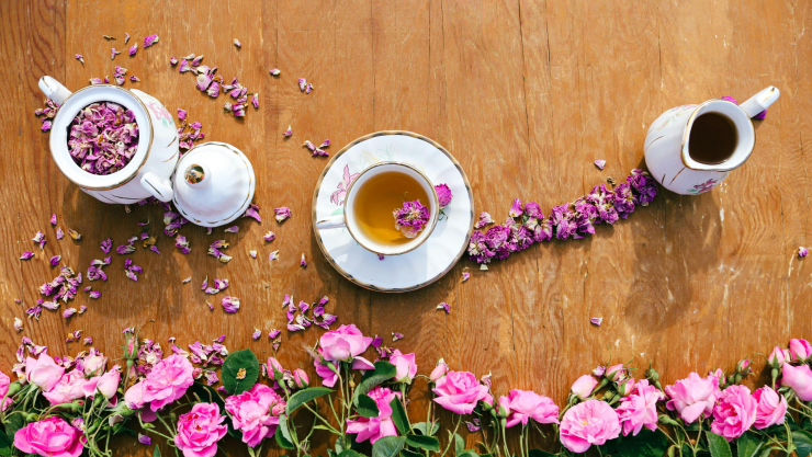 TE PASIFLORA_PEXELS_Rumeysa Nur Çelik