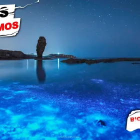 datos extremos la bioluminiscencia en el mar al extremo