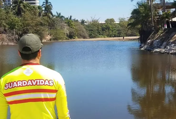 ¡Atención! Monitorean playas de Puerto Vallarta por presencia de cocodrilos