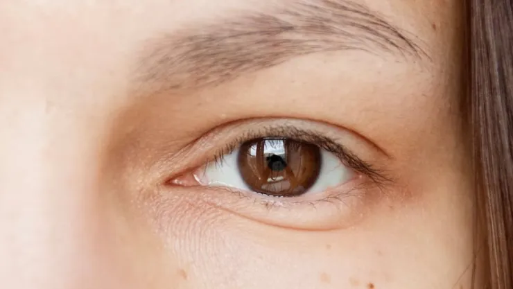Descubre el truco definitivo para aplicar sombras en párpados caídos