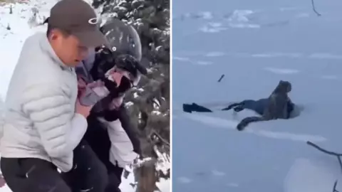 FUERTE VIDEO|Leopardo ataca esquiador que intentó tomarle una foto