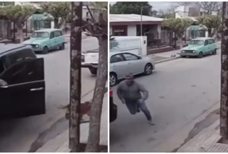 perro-se-apodero-de-camioneta-estrello-contra-casa-córdoba-argentina-video