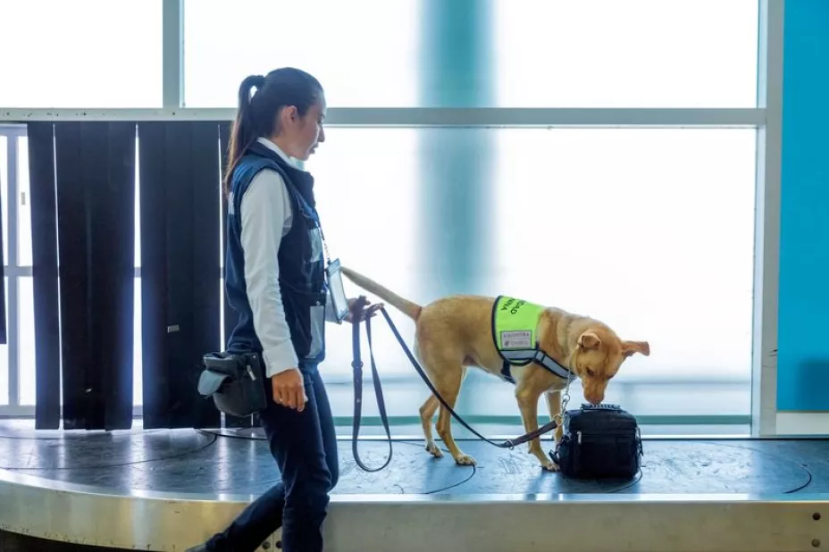 Sader 12 abril 2025.jpeg