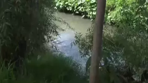 Cuenca del Río Atoyac 