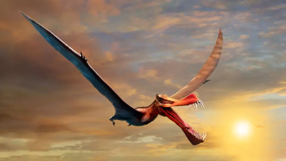 dinosaurio-volador-australia.jpg