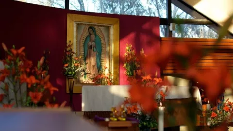 Todo lo que debes saber sobre la Virgen de Guadalupe y su historia