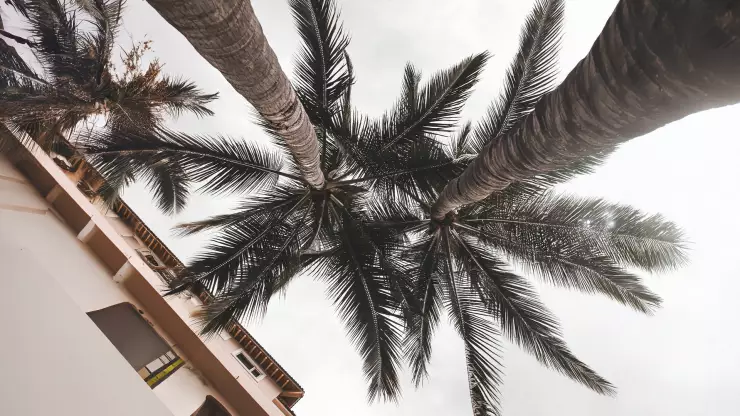 Se nubla Puerto Vallarta Así está el clima hoy 29 de mayo en Puerto Vallarta