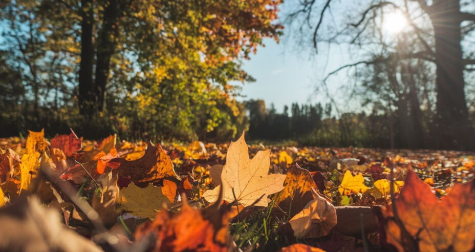 Cuándo ocurrirá el Equinoccio de Otoño en 2024?