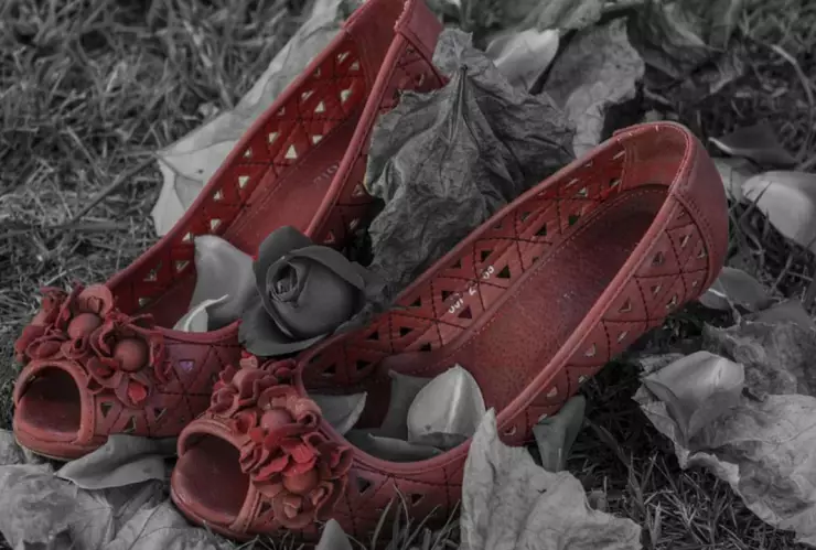 Feminicidio Mujer fue degollada dentro de su casa en Veracruz