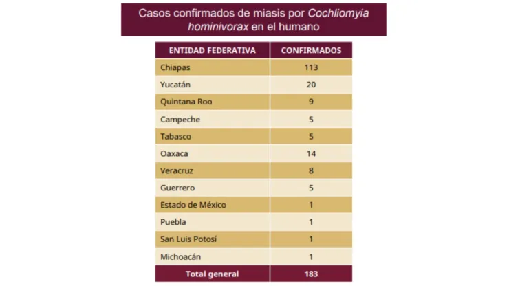 casos-gusano-barrenador-en humanos-en-veracruz