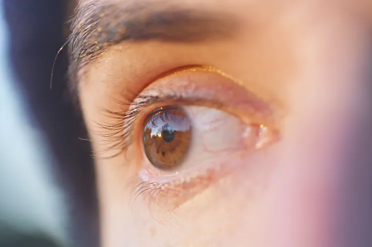 Los ojos cafés son los más comunes del mundo, pero tienen una belleza especial