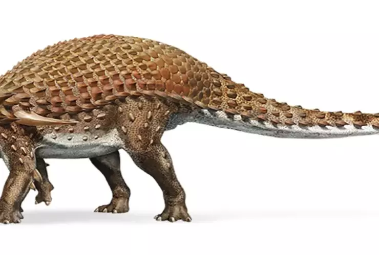 nodosaurio.png