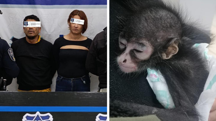 vehículo sin placas.jpg