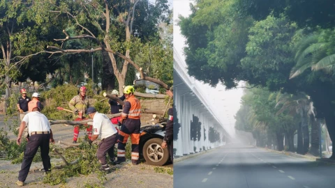 Fuertes rachas de viento registradas en Puebla hoy 15 de mayo de 2024 dejan afectaciones