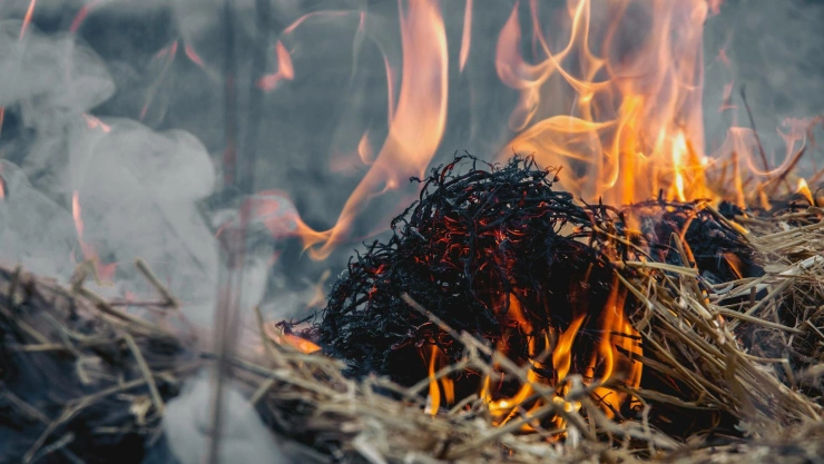 Factores incendios forestales California según la NASA.jpg