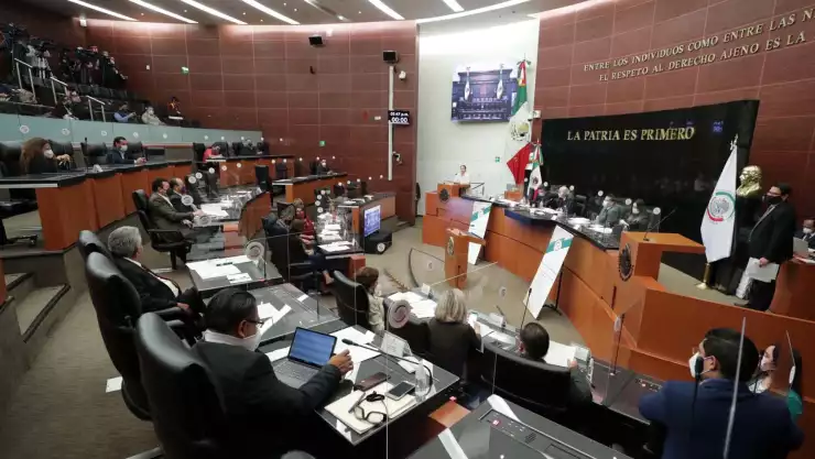 senado-terna-prodecon-amlo (1).jpg