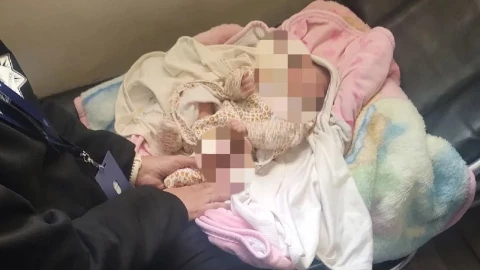 BEBE CHIHUAHUA ABANDONADA.jpg