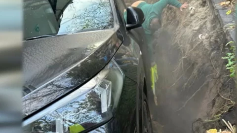 socavón-rumania-madre-e-hijo-caen-agujero-video-rescate-niño