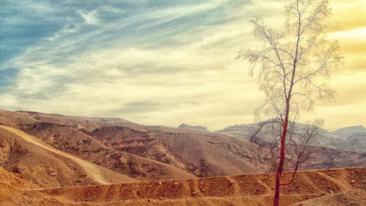 Efecto Foehn ¿A qué estados afectará el primer fin de semana de mayo 2025