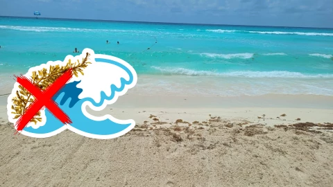 Playas libres de sargazo en Quintana Roo HOY 4 de julio de 2025_ Lista desde Holbox, Cancún y hasta Tulum.jpg