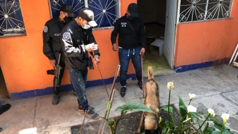 Hay 7 viviendas al interior del inmueble donde buscan restos de víctimas de feminicida serial.jpg