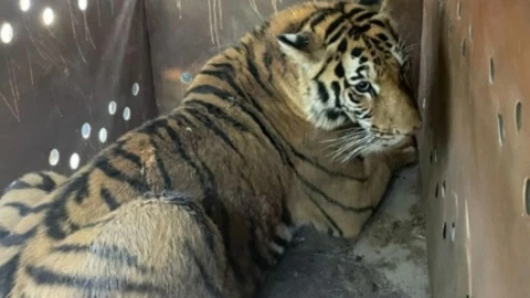 WhatsApp Image 2025-04-09 at 2.52.33 PM.jpeg