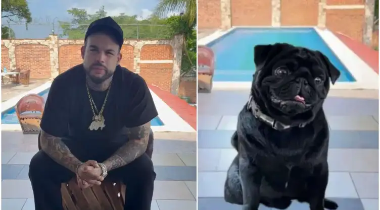 Emiliano Aguilar-perro pug Gordo