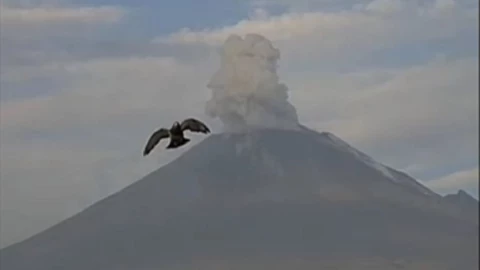 vuelo de un águila sobre el volcán Popocatépetl