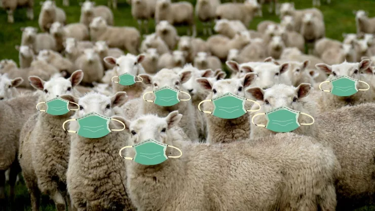 Inmunidad de rebaño