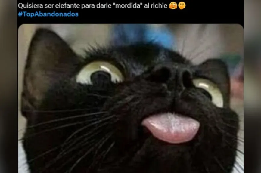 Yo y todas las que le perdonamos que Richie lamiera su dedo después de tocar excremento de elefante, es que con ese “lavadero” una si quiere darle una mordida.