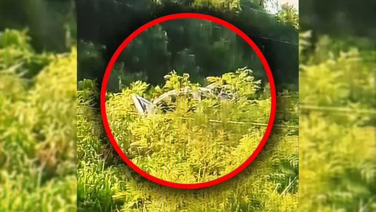 Hombre muere en accidente tras quedarse dormido HOY en la carretera federal 307 tramo Playa del Carmen - Cancún