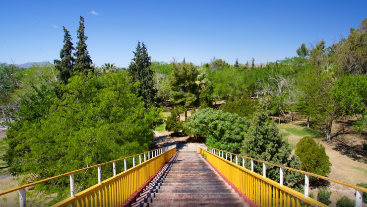 Captura de pantalla 2024-07-19 083158.png