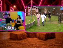 desmenuzando la granja.jpg