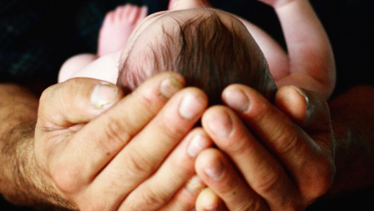 ¿Qué es la licencia de paternidad y cómo puedo solicitarla en México