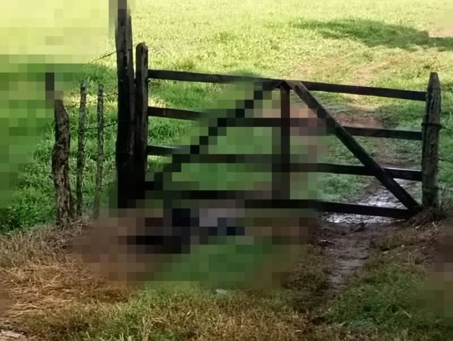 Cuerpo Japala Tabasco