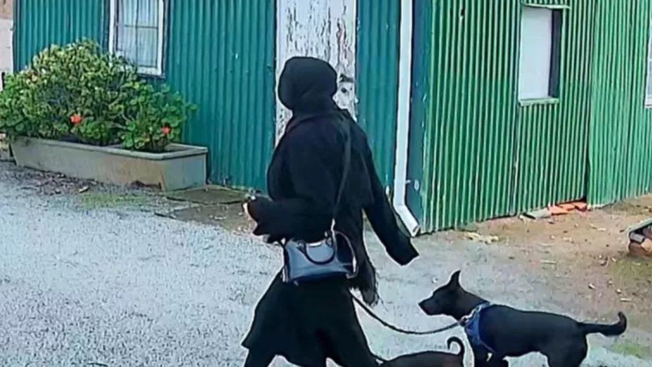 1280 x 720 px (95).jpg