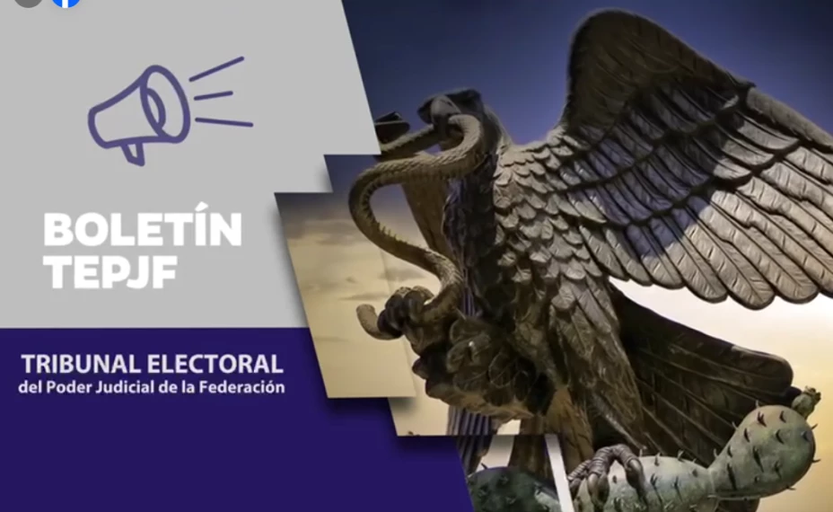 TEPJF boletín.png