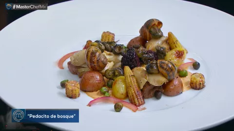 Platillos MasterChef México, pedacito de bosque